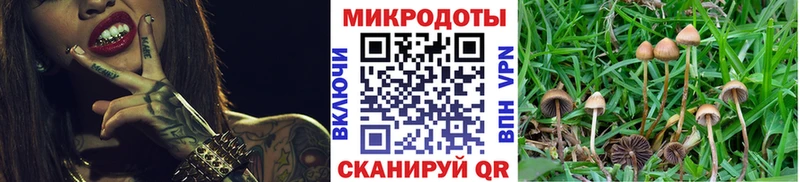 Псилоцибиновые грибы ЛСД  kraken рабочий сайт  Славгород  хочу наркоту 
